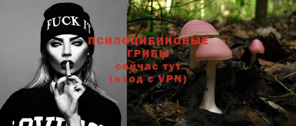 СК Нефтегорск