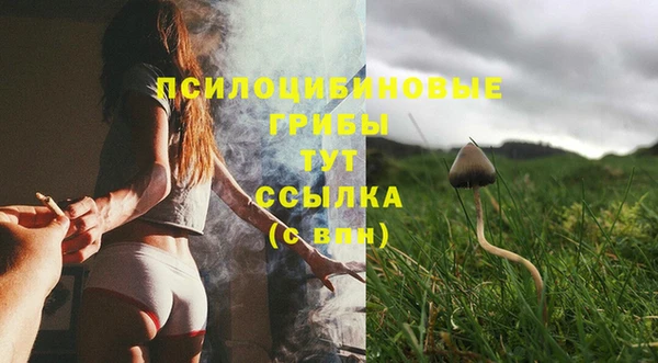 СК Нефтегорск