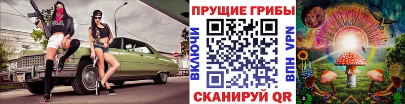 дарнет шоп  Шлиссельбург  Псилоцибиновые грибы мицелий 